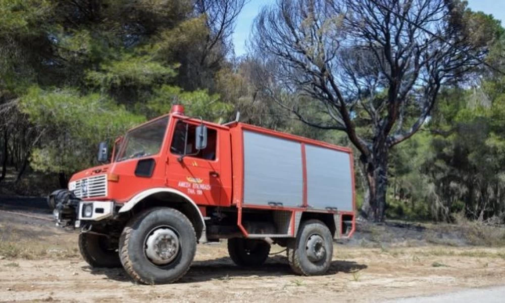 Χαλκιδική: Πυρκαγιά στη Νέα Σκιώνη